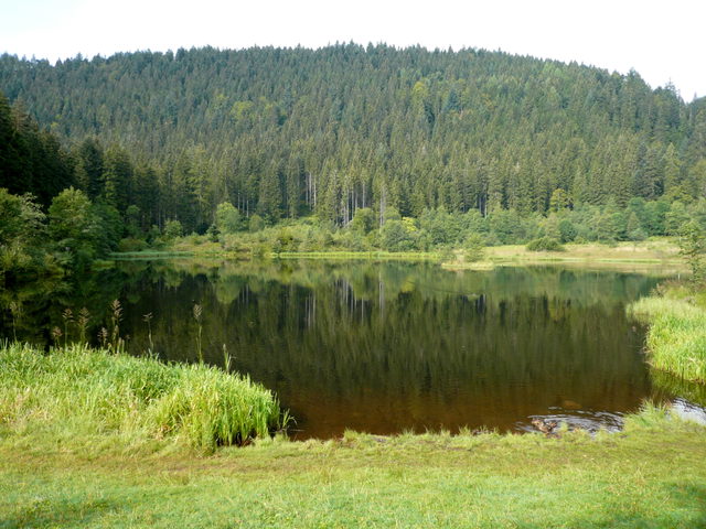 Sankenbachsee mit Wiesen am Ufer und bewaldetem Karhang