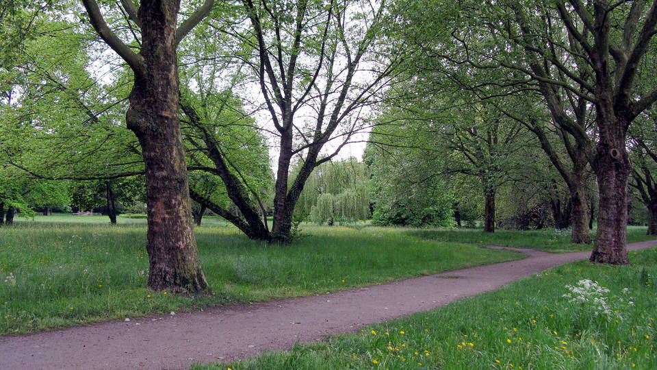 Symbolbild: Spazierweg zwischen Bäumen im Kurpark Bad Krozingen. Keine Originalaufnahme dieses Eintrags.