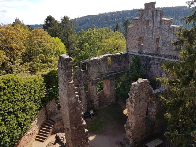 Die Mauerreste der Burgruine Zavelstein in herbstlicher Umgebung.