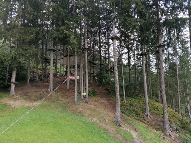 Hochseilgarten im Wald bei Kaltenbach