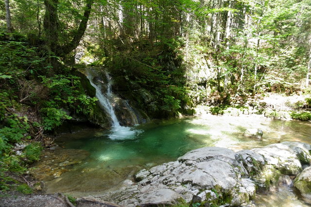 Wasserfall und grüner Wald am Wasserfallweg bei Lofer
