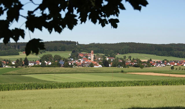 Loppenhausen mit Kirche, Feldern und Wald im Hintergrund