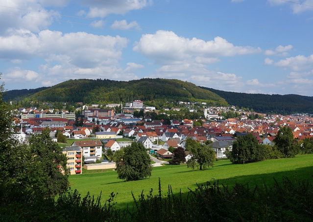 Blick auf Burladingen