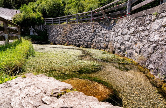 Gallusquelle in Hermentingen im Laucherttal