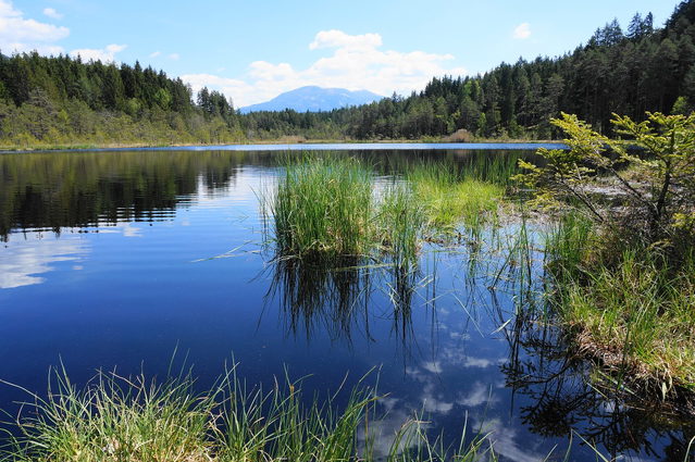 Egelsee im Naturschutzgebiet bei Spittal an der Drau