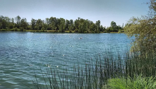 Blick vom östlichen Ufer auf den Baggersee Burkwang.