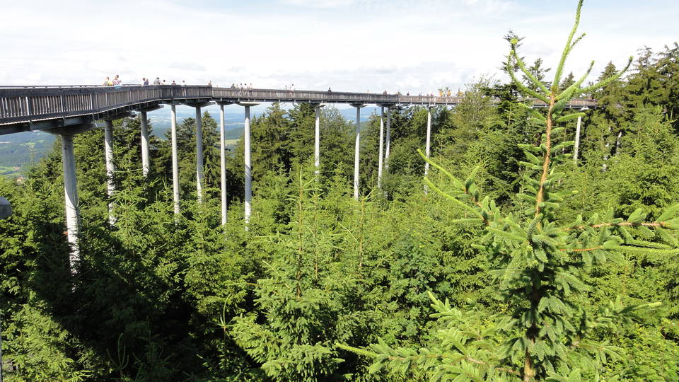 Waldwipfelweg in Maibrunn bei Sankt Englmar