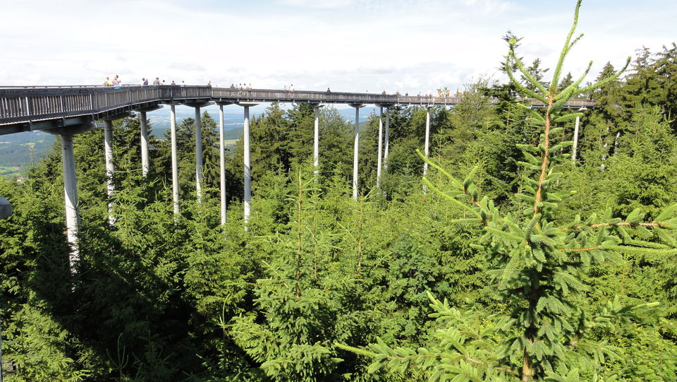 Waldwipfelweg in Maibrunn bei Sankt Englmar