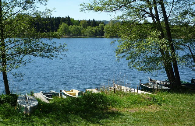 Ruschweiler See mit Ruderbooten in der Gemeinde Illmensee