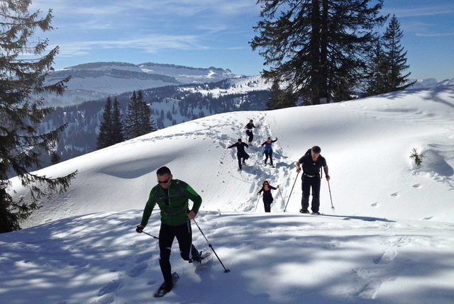 Schneeschuhwanderer an einem verschneiten Hang zwischen Tannen