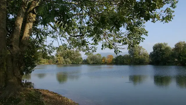 Jannersee in Lauterach mit Bäumen am Ufer und Spiegelungen auf der Wasserfläche. Ortsmotiv zur Ausflugsplanung.