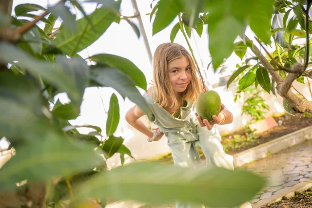 Kind zwischen Pflanzen mit einer grünen Frucht im Tropenhaus