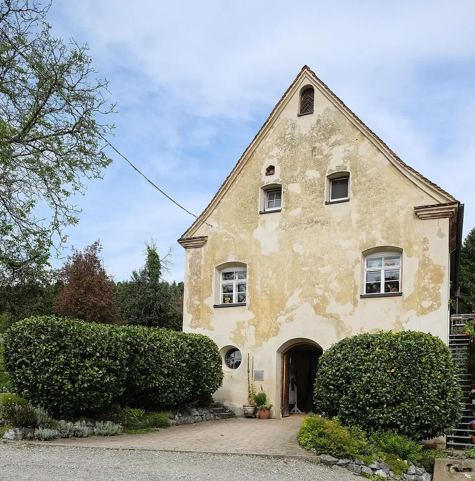 Bermatinger Waldwiesen – Rundwanderung durch Wald und Weinberge