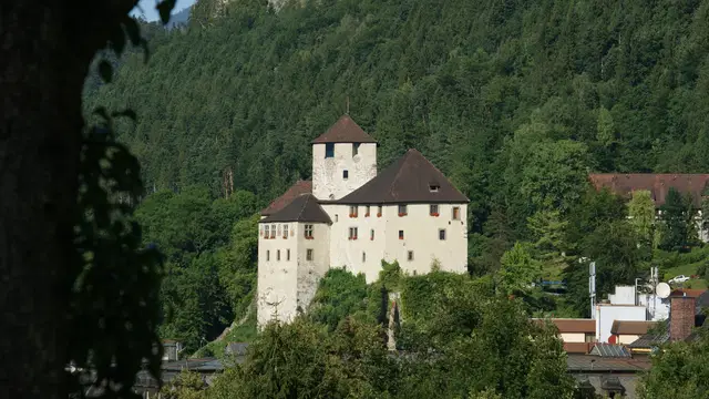 Schattenburg mit hellem Mauerwerk und Turm über Feldkirch vor bewaldetem Hang. Ortsmotiv.