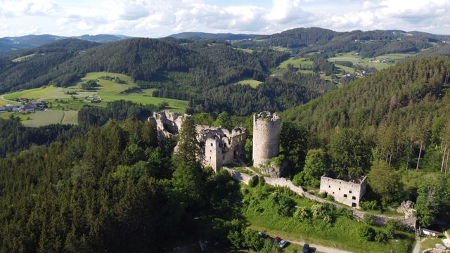 Burgruine Prandegg auf bewaldeter Anhöhe von Süden