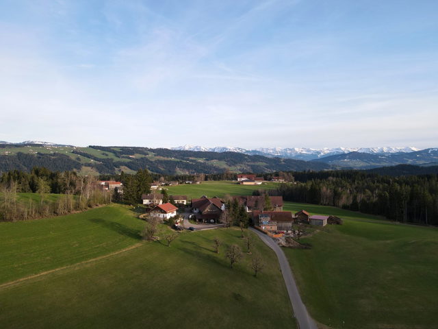 Luftaufnahme von Hagspiel bei Scheidegg mit Wiesen und Bergen im Hintergrund