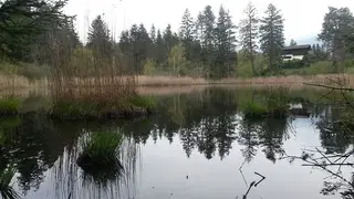 Lans im Grünen: Waldpark und ein Spaziergang Richtung Ambras