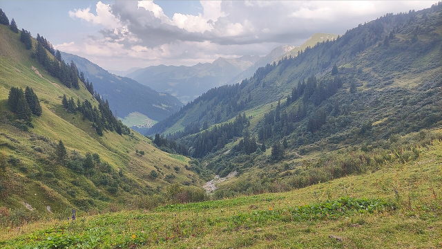 Blick durch das Derrental bei Baad mit grünen Hängen und Wald