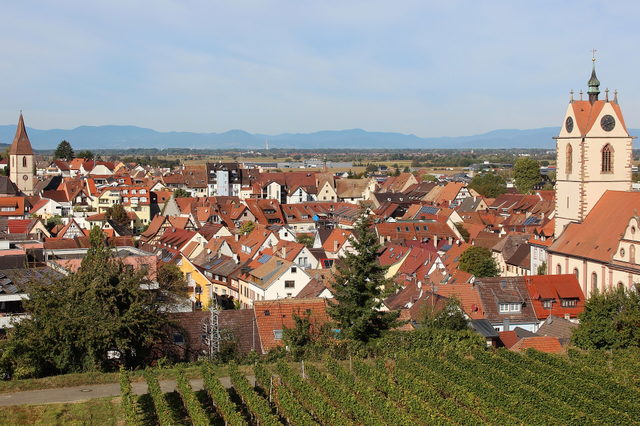 Blick auf die Altstadt von Endingen am Kaiserstuhl