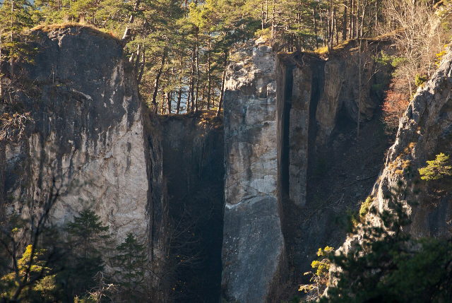 Felswände und Wald in der Ehnbachklamm bei Zirl