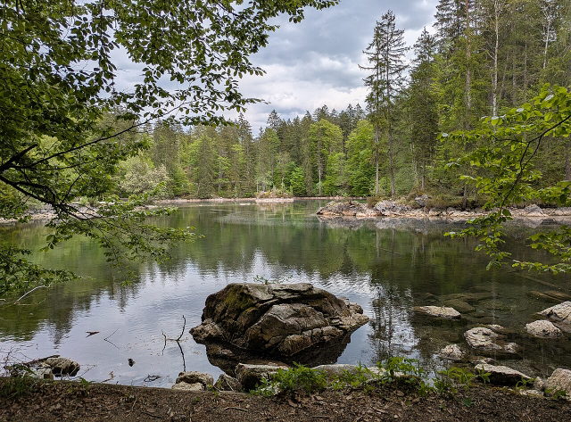 Symbolbild: Waldsee mit ruhiger Wasserfläche und bewachsenem Ufer