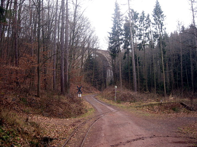 Waldweg mit einer Brücke im Bockbachtal