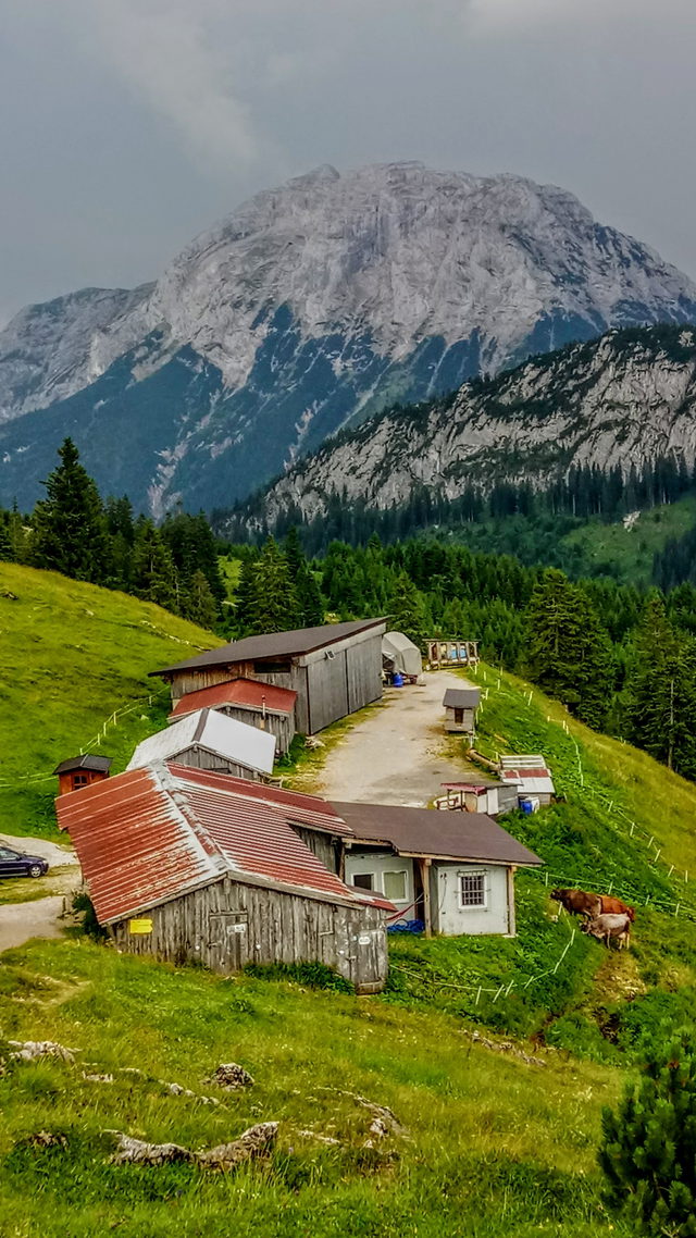 Blaubergalm mit grünen Wiesen und Bergkulisse