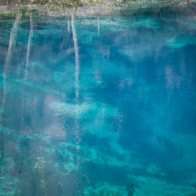 Blaues Wasser des Blautopfs in Blaubeuren mit Spiegelungen von Bäumen