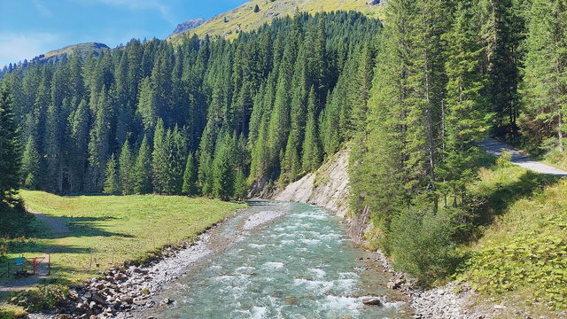 Lech und bewaldete Berglandschaft südlich von Warth in Vorarlberg