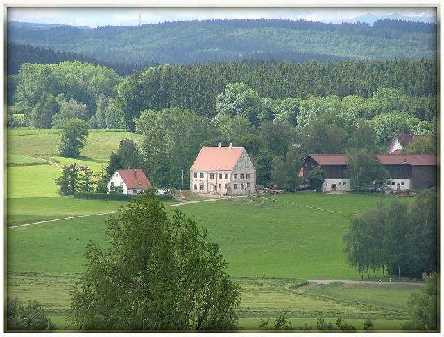 Blick von Daxberg auf Wiesen, Höfe und Wald bei Erkheim