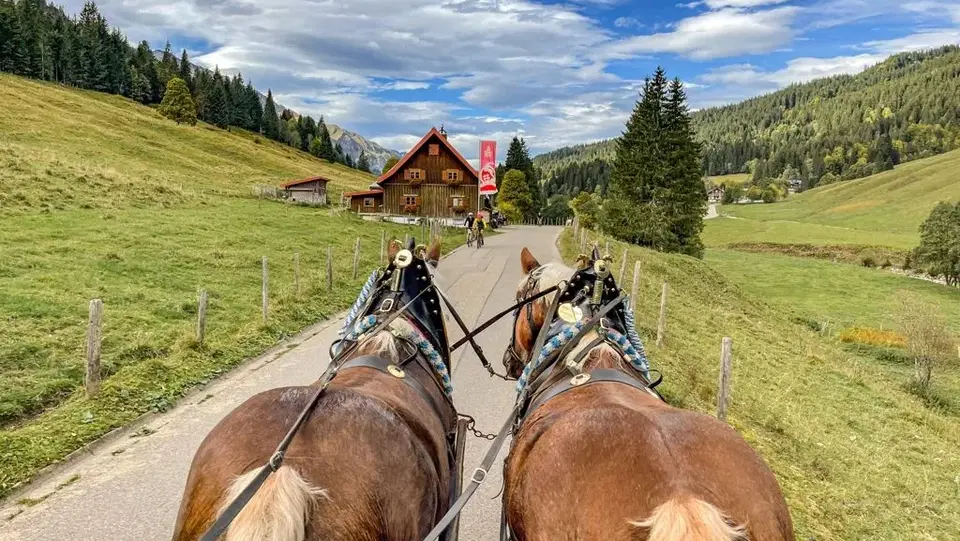 Blick von der Kutsche über zwei Pferde auf eine Straße im grünen Tal