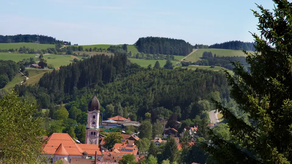 Sommerrodelbahn über grüner Hügellandschaft bei Nesselwang