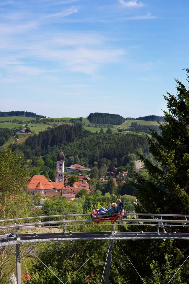Sommerrodelbahn über grüner Hügellandschaft bei Nesselwang