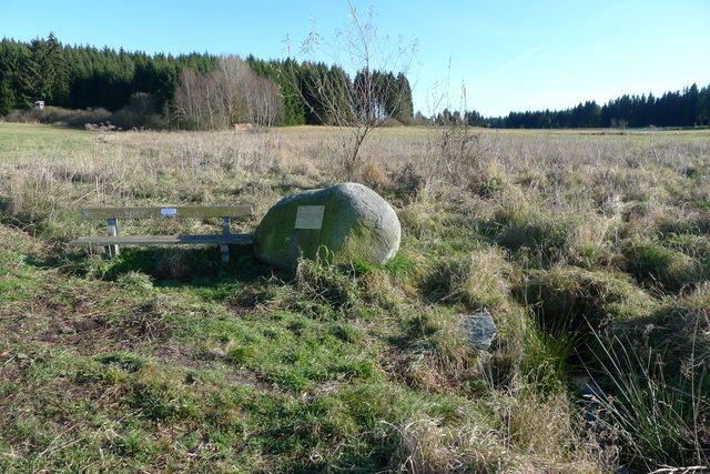 Quellraum der Feldaist bei Grünbach