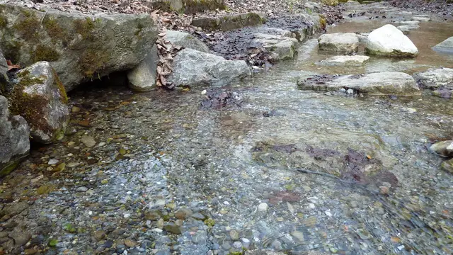 Klares Wasser fließt zwischen Steinen und moosbewachsenen Ufern an der Schussenquelle. Ortsmotiv zur Ausflugsplanung.