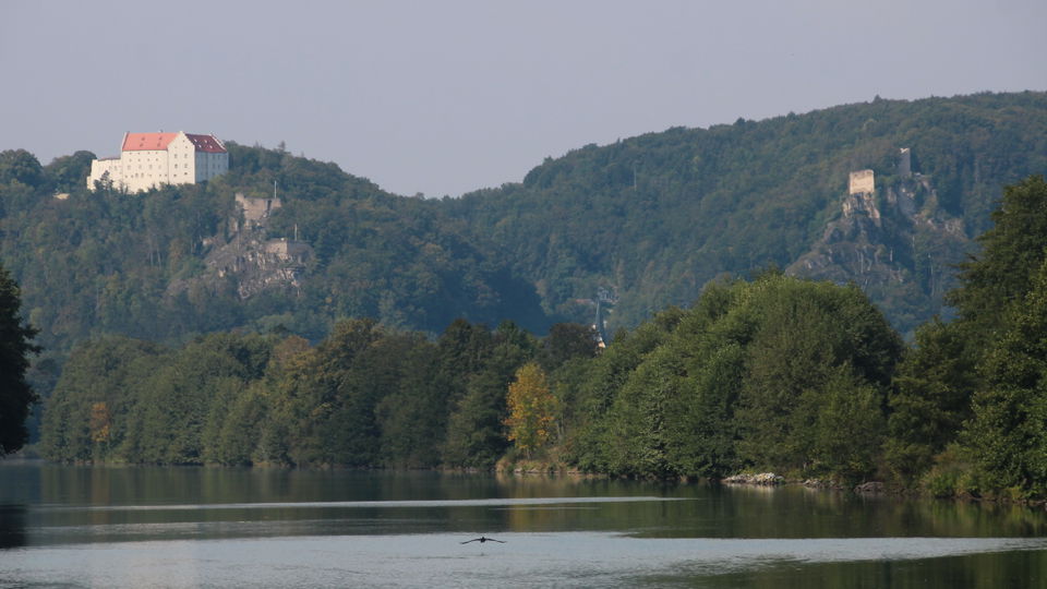 Familienerlebnisse in Riedenburg – Greifvögel, Kristalle und Rodelspaß