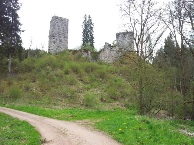 Die Ruine der Burg Roggenbach im Steinatal.