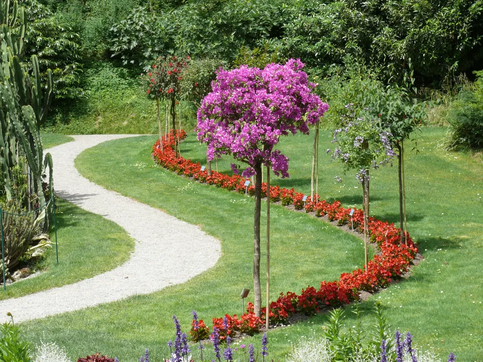 Stadtgarten Überlingen – Rosengarten, alte Bäume und Seeblick