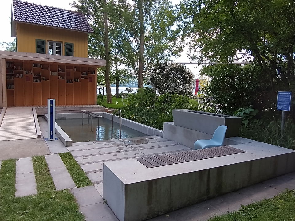 Wissenswertes über Kakteen und Sukkulenten