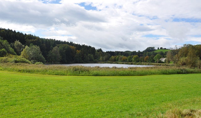 Grüne Wiese und Bäume am Karsee bei Wangen im Allgäu