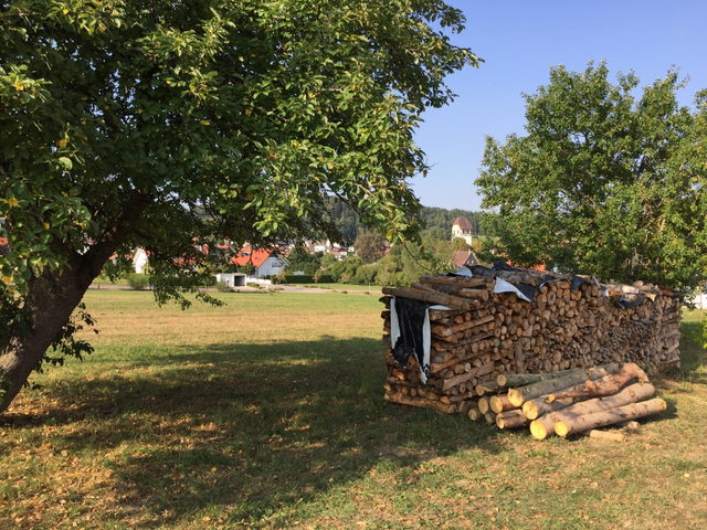 Obstbäume, Wiese und Holzstapel bei Dautmergen
