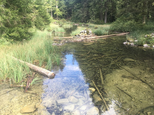 Pfrillenbach bei der Brücke am Hinteren Langbathsee