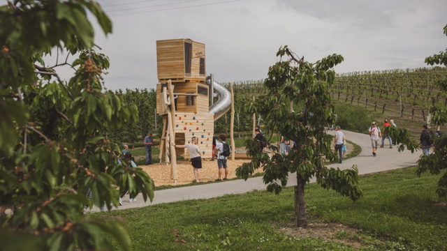 Kletterturm mit Rutsche am Kressbronner Bauernpfad zwischen Obstbäumen und Weinbergen