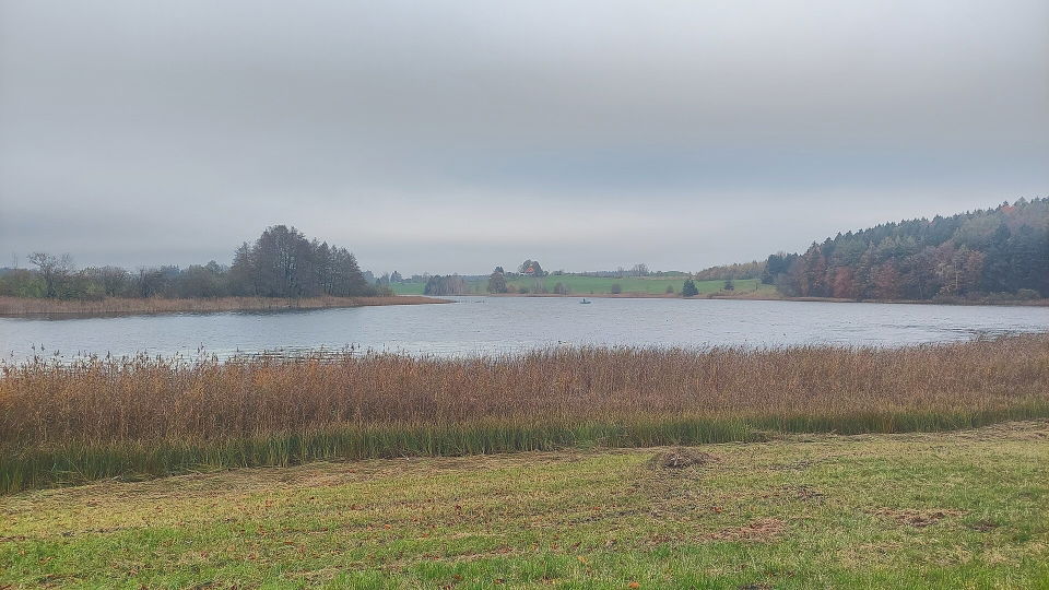 Wuhrmühleweiher und Argensee: Eiszeitwanderung ab Waltershofen