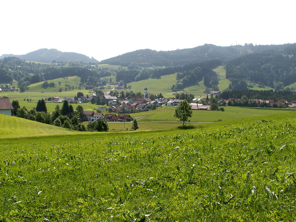 Die Wunder des Waldes – Führung in Maierhöfen