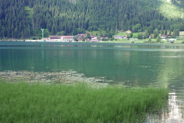 Haldensee mit bewaldeten Berghängen am Südufer