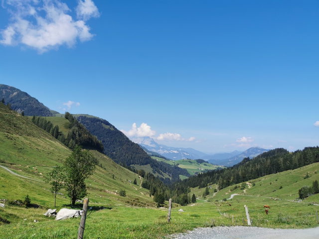 Grüne Berglandschaft am Zielstattgraben bei Fieberbrunn