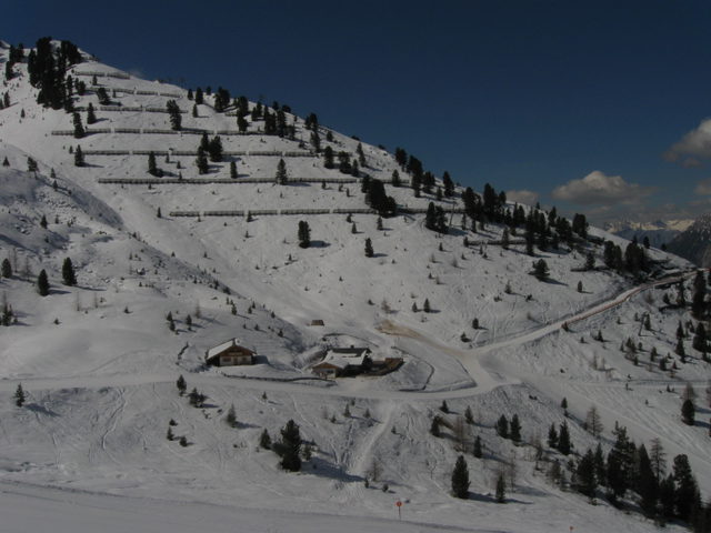 Winterliches Gebiet der Balbach Alm in Hochoetz