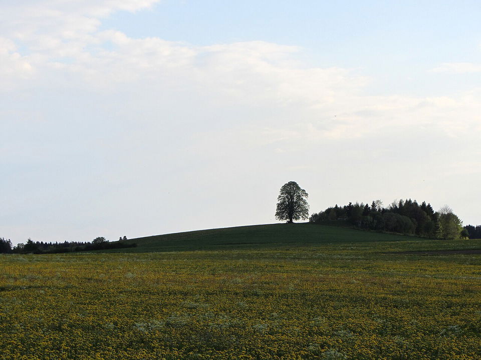 Weitblick ab Gospoldshofen – Wanderweg 10 mit Abstecher zum Wachbühl