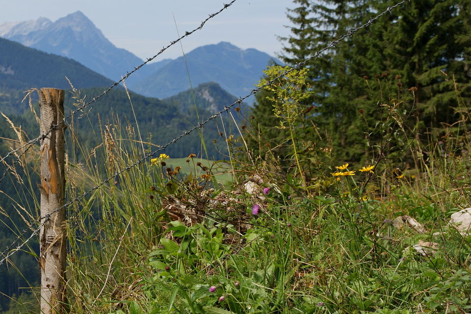 Trans Nationalpark Etappe 3: Von Windischgarsten über den Hengstpass nach St. Gallen